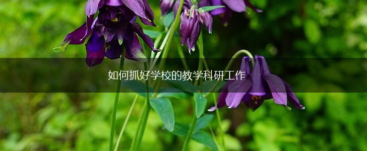 如何抓好学校的教学科研工作,第1张