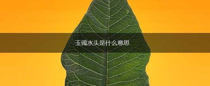 玉镯水头是什么意思,第1张