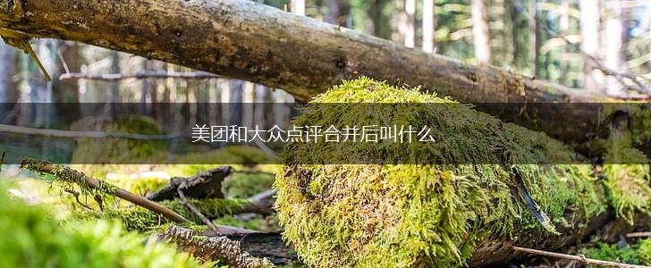 美团和大众点评合并后叫什么,第1张
