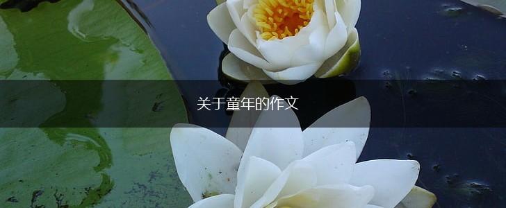 关于童年的作文,第1张