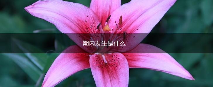 期内发生是什么,第1张