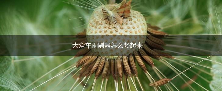 大众车雨刷器怎么竖起来,第1张