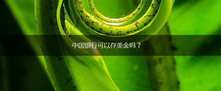 中国银行可以存美金吗？,第1张
