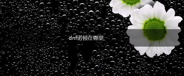 dnf诺顿在哪里,第1张