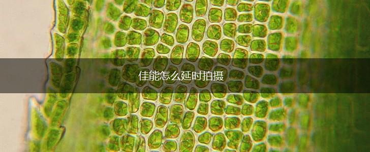 佳能怎么延时拍摄,第1张
