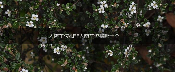人防车位和非人防车位买哪一个,第1张