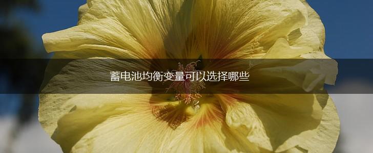 蓄电池均衡变量可以选择哪些,第1张 蓄电池均衡变量可以选择哪些,第1张