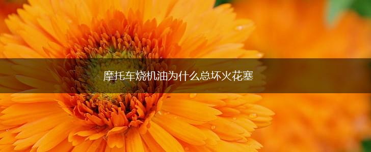摩托车烧机油为什么总坏火花塞,第1张