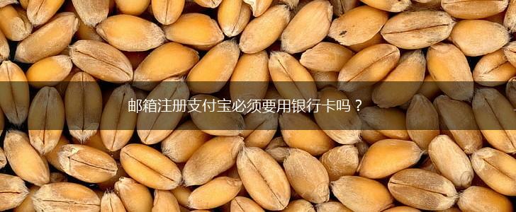 邮箱注册支付宝必须要用银行卡吗？,第1张
