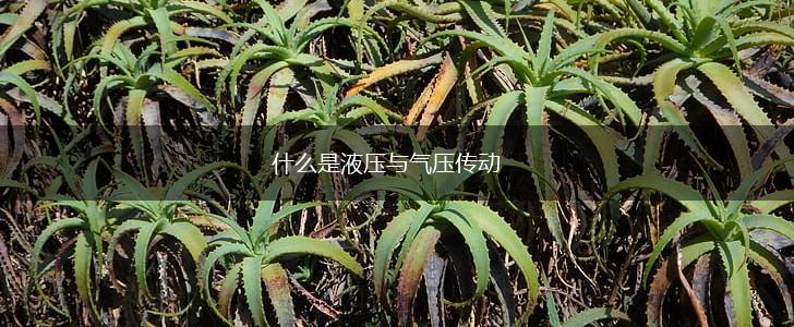 什么是液压与气压传动,第1张