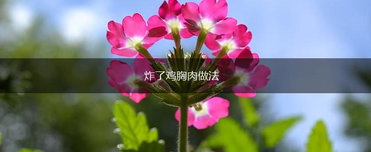 炸了鸡胸肉做法,第1张