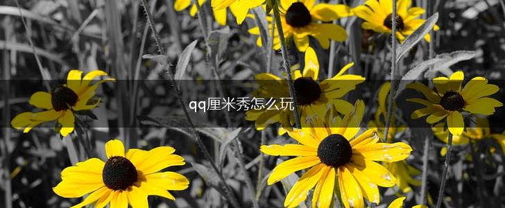 qq厘米秀怎么玩,第1张