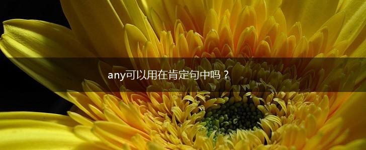 any可以用在肯定句中吗？,第1张