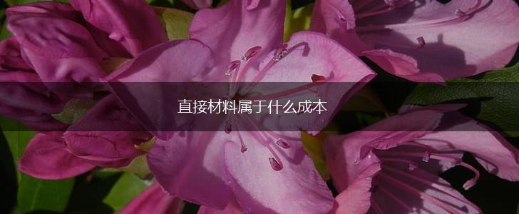 直接材料属于什么成本,第1张