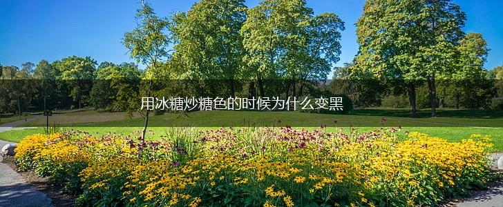 用冰糖炒糖色的时候为什么变黑,第1张