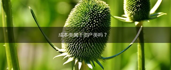 成本类属于资产类吗？,第1张