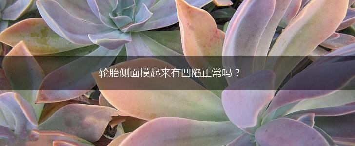轮胎侧面摸起来有凹陷正常吗？,第1张