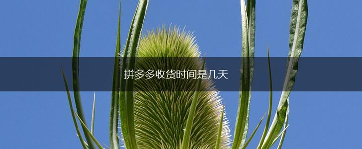 拼多多收货时间是几天,第1张