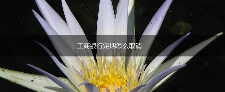 工商银行定期怎么取消,第1张