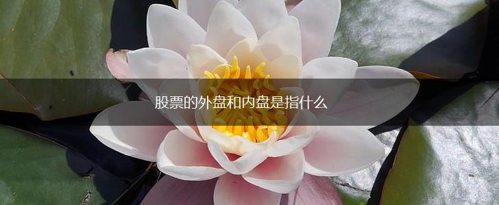 股票的外盘和内盘是指什么,第1张 股票的外盘和内盘是指什么,第1张