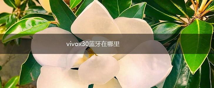 vivox30蓝牙在哪里,第1张