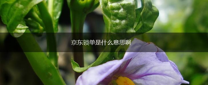 京东锁单是什么意思啊,第1张