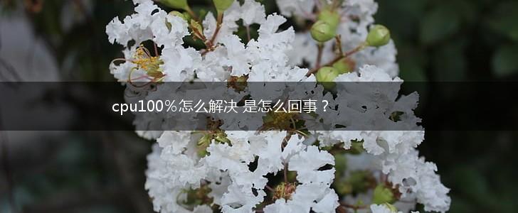 cpu100％怎么解决 是怎么回事？,第1张