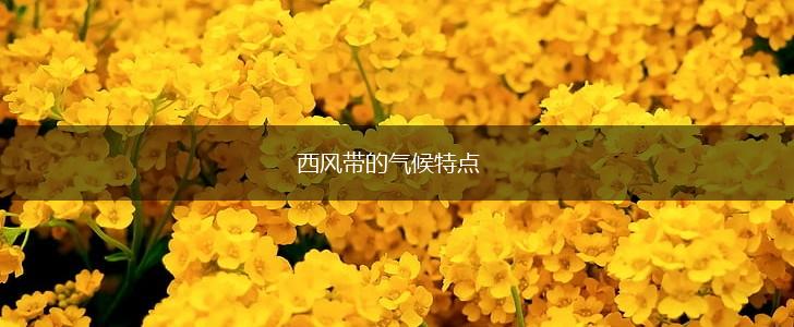 西风带的气候特点,第1张