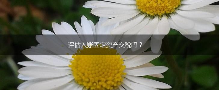 评估入账固定资产交税吗？,第1张