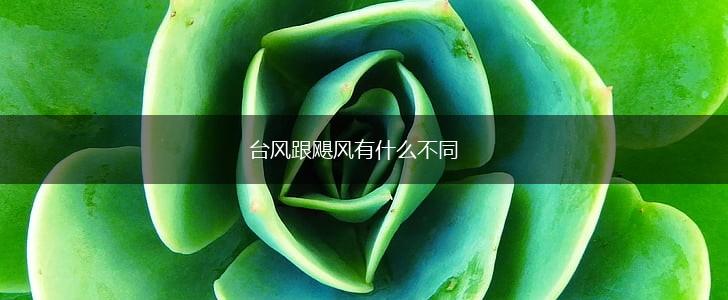 台风跟飓风有什么不同,第1张