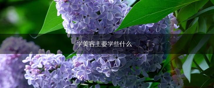 学美容主要学些什么,第1张