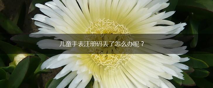 儿童手表注册码丢了怎么办呢？,第1张