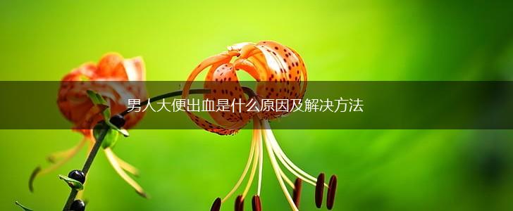 男人大便出血是什么原因及解决方法,第1张