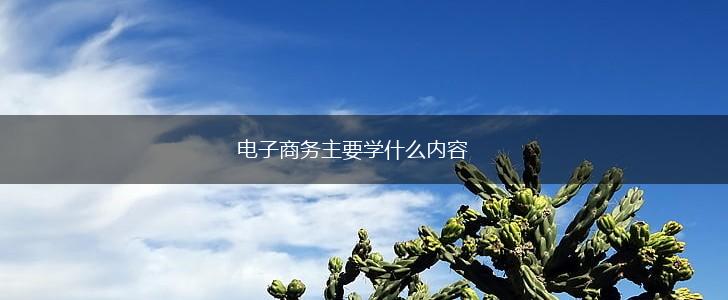 电子商务主要学什么内容,第1张