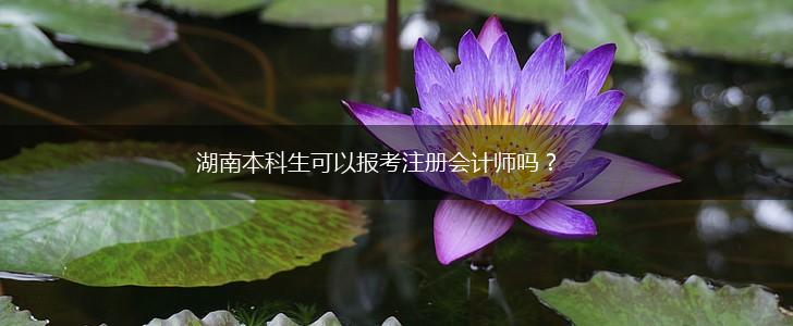 湖南本科生可以报考注册会计师吗？,第1张