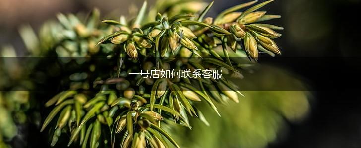 一号店如何联系客服,第1张
