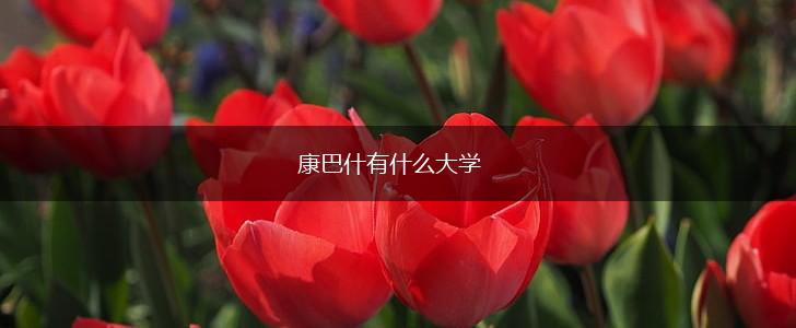 康巴什有什么大学,第1张