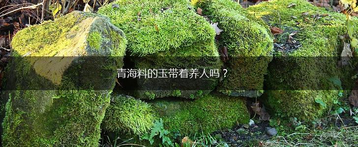 青海料的玉带着养人吗？,第1张