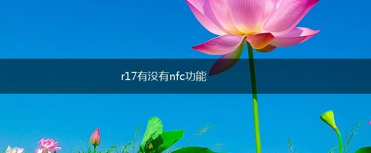 r17有没有nfc功能,第1张