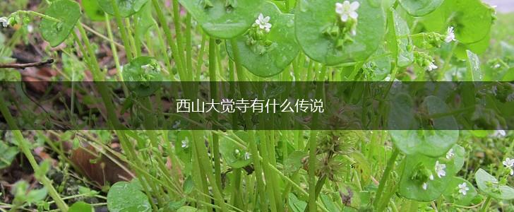 西山大觉寺有什么传说,第1张