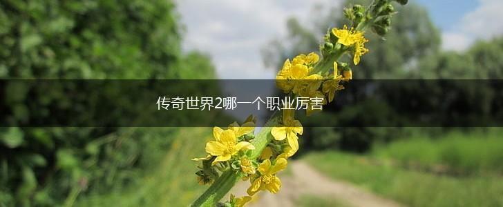 传奇世界2哪一个职业厉害,第1张
