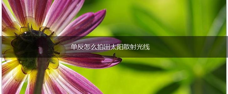单反怎么拍出太阳散射光线,第1张