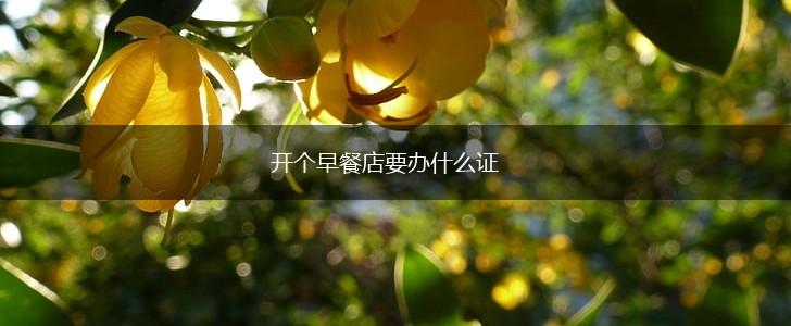 开个早餐店要办什么证,第1张