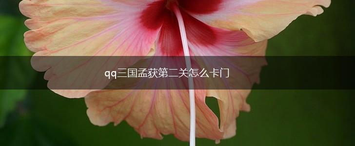 qq三国孟获第二关怎么卡门,第1张