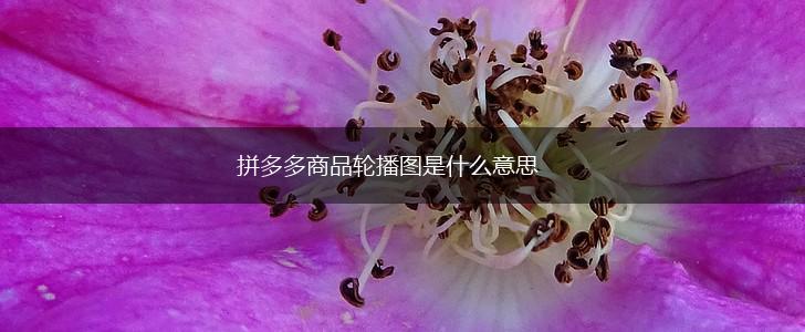 拼多多商品轮播图是什么意思,第1张