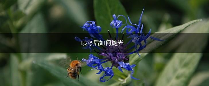 喷漆后如何抛光,第1张