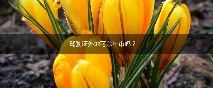 驾驶证外地可以年审吗？,第1张