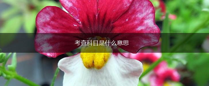 考查科目是什么意思,第1张