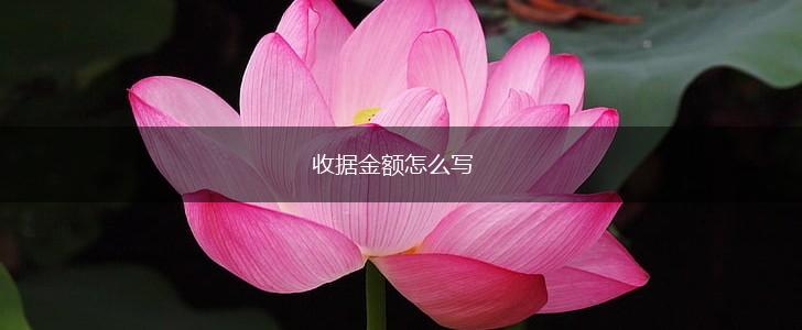 收据金额怎么写,第1张