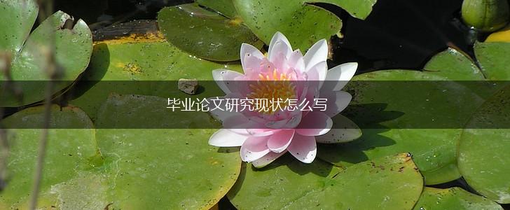 毕业论文研究现状怎么写,第1张